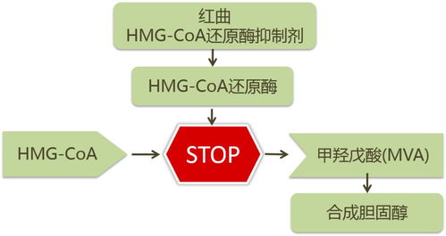 中国XMXM18小孩的推荐机