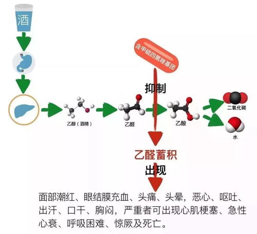 切记 吃药不喝酒