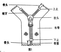 拉链 前后带头是什么东西 最好附图片 谢谢 