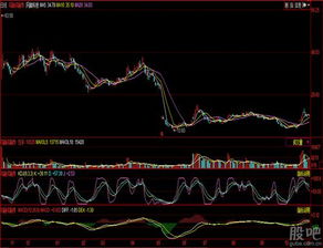 股权登记日:2009-05-22 除权除息日:2009-05-25 是什么意思