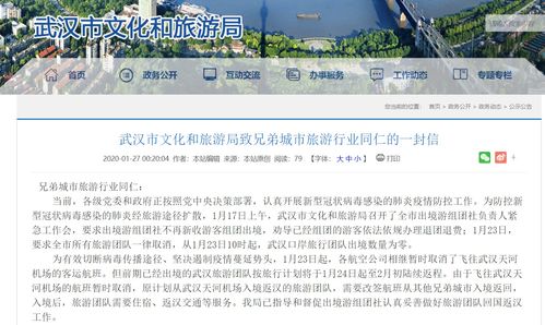 4096名武汉游客仍在境外,武汉文旅局请求帮助