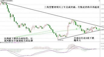 我早上7点挂的单，低于昨天收盘价的5%，作为止损，为什么以开盘价成交了