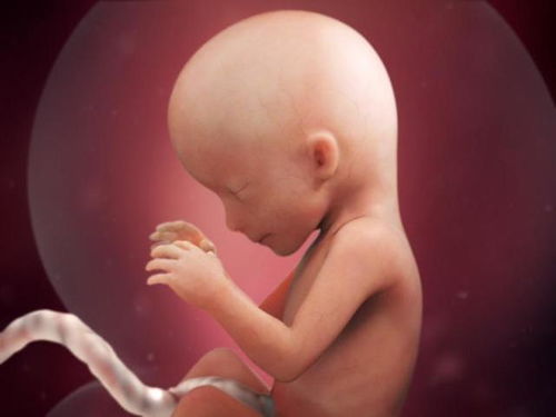 孕晚期胎儿 头朝下 的姿势不难受吗 为和妈妈见面,胎儿很努力