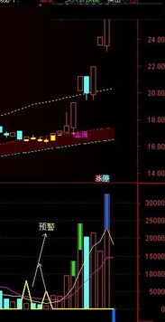 股票公式的文件后缀是tnc