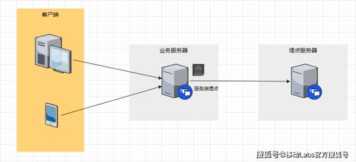 万文查重率背后的技术原理：深入剖析查重算法