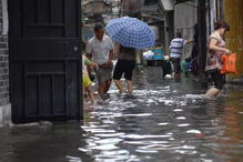 飞蚁 大军 空袭 羊城 比暴雨还可怕 好多广州人已濑嘢......