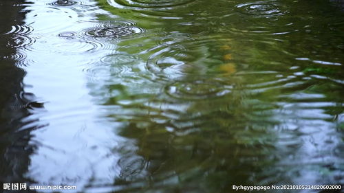 小河滴水下雨视频 