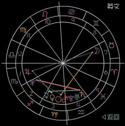 我是1993.12.25号凌晨3点整出生的 我 太阳 月亮 上升 都是什么星座啊 谢谢帮忙 