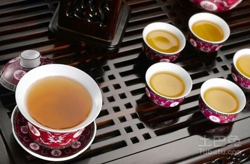 功夫茶是什么茶种-图2