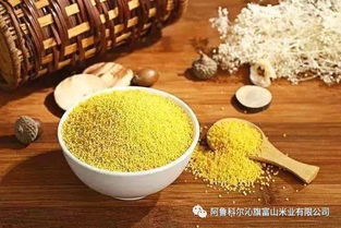 小米的营养价值 小米的功效与作用