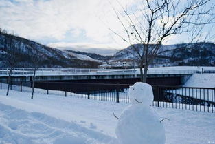 北海道 你的名字也是雪国 中