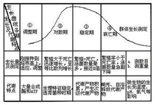 活性污泥的性能指标