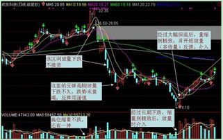 个股下跌的过程中放量后市会涨还是会跌