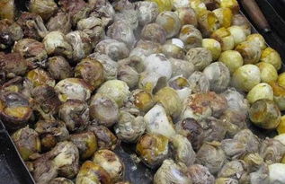 世界最恶心的水果,柬埔寨十大特产水果排名？