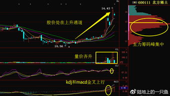 北方稀土这股票最近有没有上涨空间