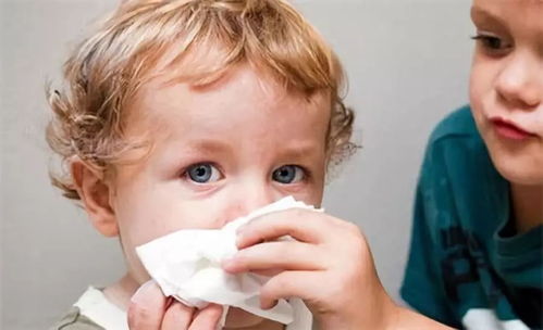 宝宝流涕喷嚏,疑似流感前兆 原来鼻炎也会惹祸