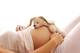 怀孕后经常梦到龙,是不是意味着宝宝以后会飞黄腾达 胎梦预兆真的准吗 