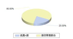 股本结构的介绍