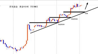 浮光掠金 金价台阶式上涨,分水岭定强弱