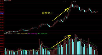 买入股票有时候为什么价格变成原来一半数量却增加一倍