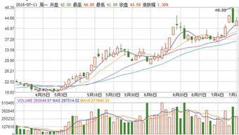 请朋友们帮我看下603799华友钴业这支股票怎么样？