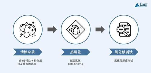 查重黄字多，别让这些问题影响你的SEO