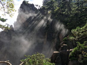 带着 宝宝 游黄山