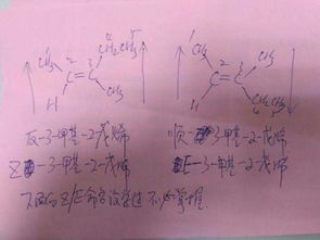 2－甲基－1－戊烯有顺反异构吗