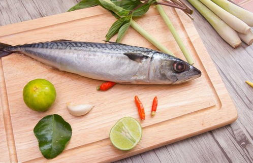 国内哪个地方的鱼最好吃 网友推选这8道,有你爱吃的那道吗