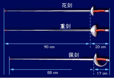 花剑重剑佩剑区别（花剑重剑佩剑哪个最受大众欢迎）-图5