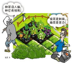 人人网关闭开心农场 偷菜 终成网友回忆新闻频道 