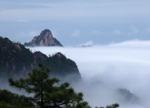 三清山自驾游旅游指南(三清山免费停车场)