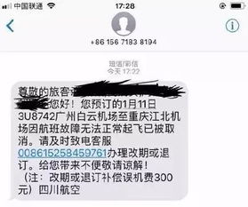 今起成都出发乘坐国内航线可在飞机上名正言顺地耍手机啦 但这5点还需注意 