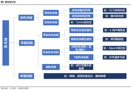 遗传病检查 遗传病怎么查