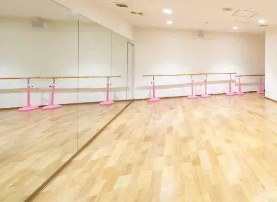 水莲舞蹈艺术学校 内附活动视频