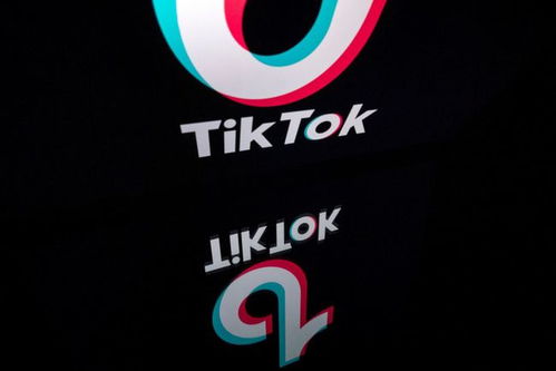 谷歌搜索的基本原理_TikTok企业广告帐户开户咨询