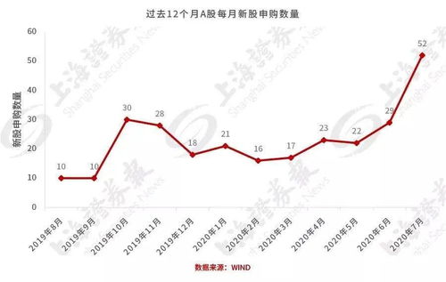 新股申购数量有何要求？