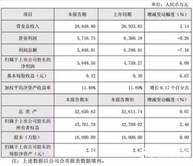 怎样介绍公司的财务状况?