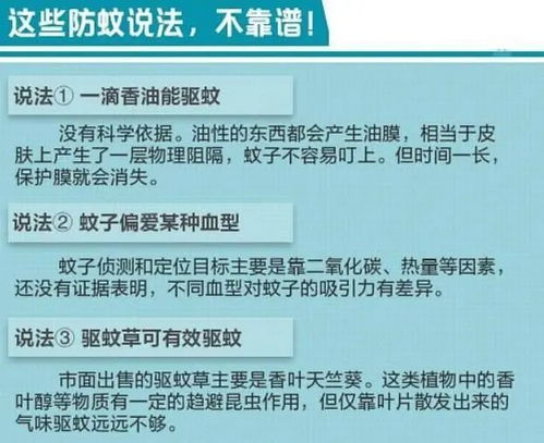 蚂蚊财富怎么看不到每日收益明细