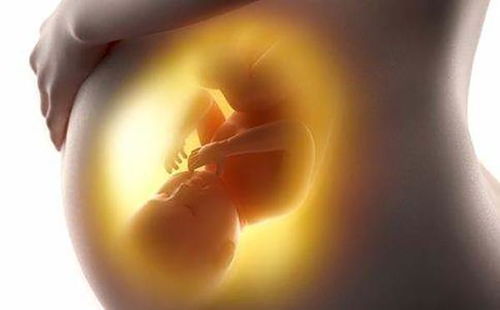 原创怀孕期间，你喝了足够的水吗？这样喝水胎儿在妈妈肚子里更健康！