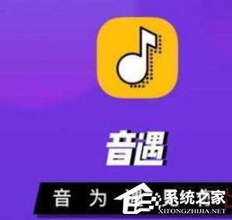 音遇app怎么设置动态头像 音遇app设置动态头像的方法 