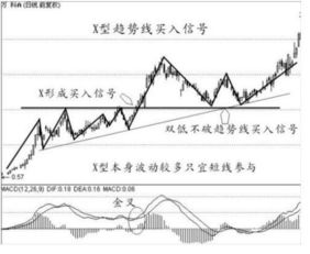 股票买入后不管会有什么结果？求详解