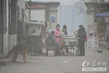武汉港附近占道卖狗引市民投诉 
