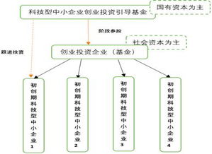 创业投资基金的投资方式有哪些