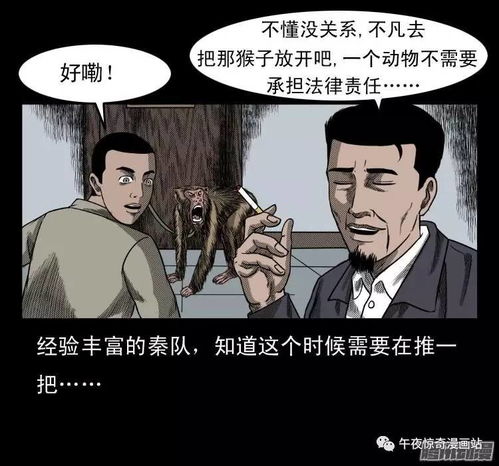 民间故事 耍猴 这案后必有冤情