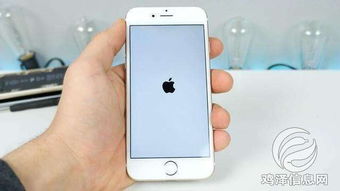 iphone7白苹果怎么修复(iphone 7白苹果的简单修复方法)