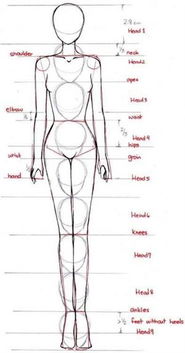 照镜子时离得多远看到的才是最真实的头身比例