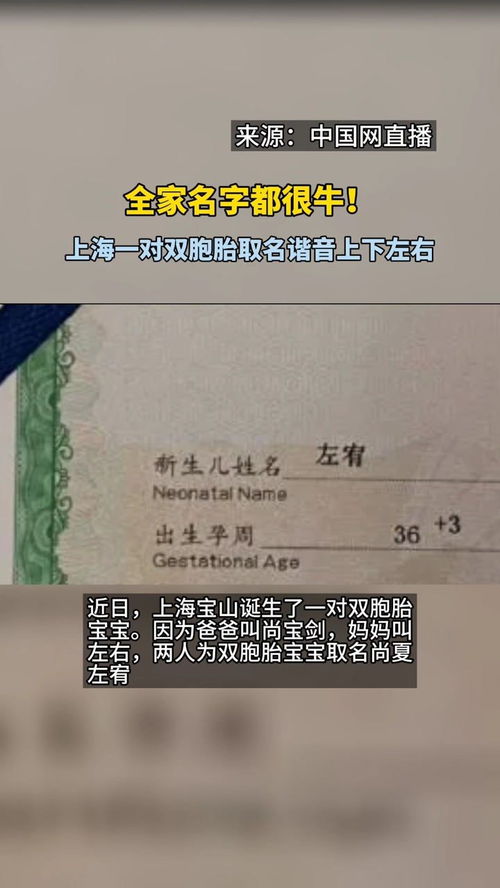 全家名字都很牛 上海一对双胞胎取名谐音上下左右 