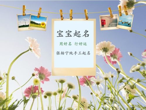 教师节出生男孩取名字