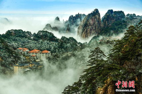 安徽黄山现云海雾凇景观 